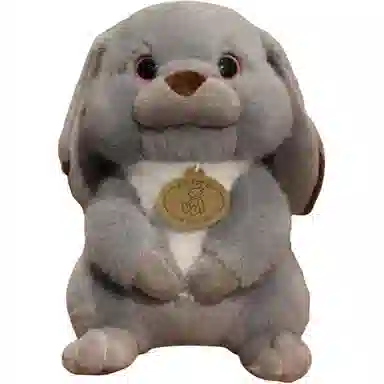 23cm