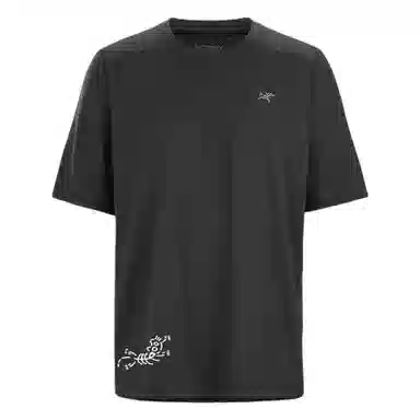 Arcteryx CORMACArcteryx Cormac Crew GGMZLogoT