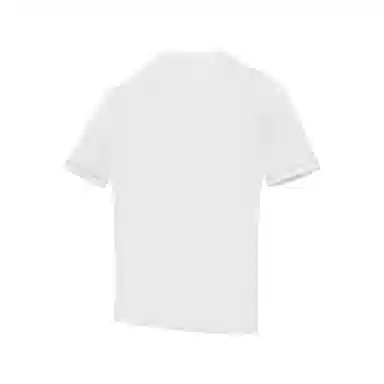 FDMWAVE T