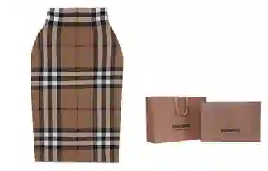 Burberry SS21 Jacquard Skirt Brown
