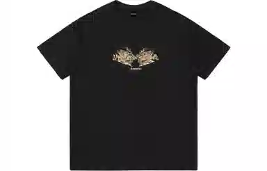 Kawasaki x (DAYCO)(J.Y) LogoT