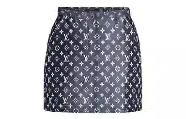 LOUIS VUITTON Monogram