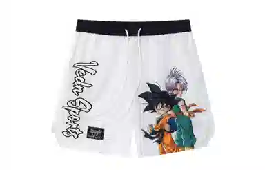 VEIDOORN x Z Logo