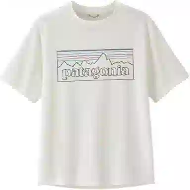 patagonia T