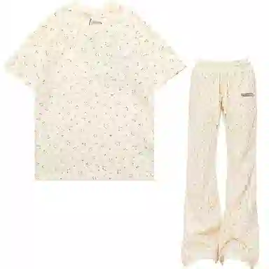 FOASIS T