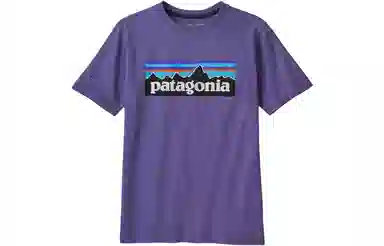 patagonia T