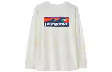 patagonia T