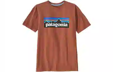 patagonia T