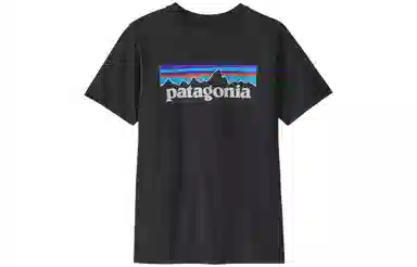 patagonia T