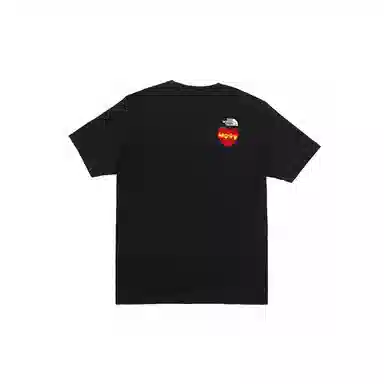 THE NORTH FACE T