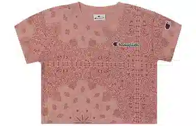 Champion SS22 Rochester T