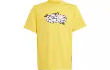 adidas originals GRAPHICS T-SHIRT T