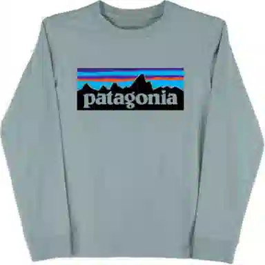 patagonia T