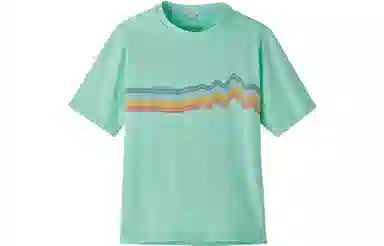 patagonia T