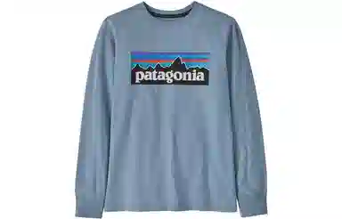 patagonia T