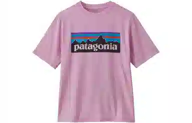 patagonia T