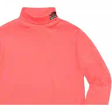 Supreme x THE NORTH FACE SS20 Week 3 RTG Turtleneck T