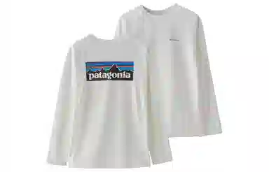 patagonia T