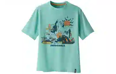 patagonia T
