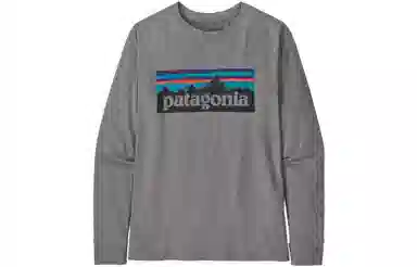 patagonia T