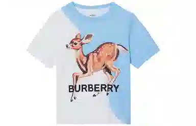 Burberry logoT