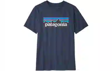 patagonia T