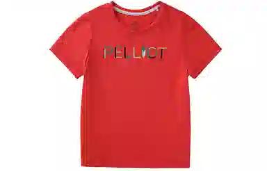 PELLIOT T