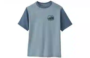 patagonia T