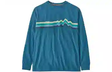 patagonia T