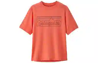 patagonia T