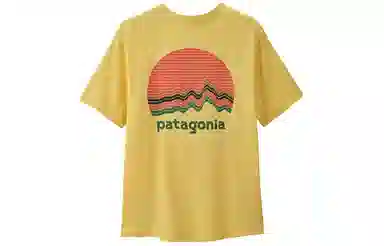 patagonia T