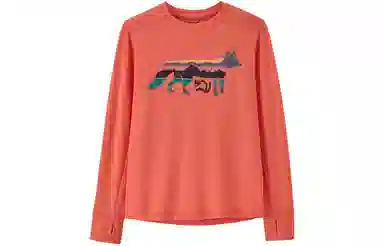 patagonia T