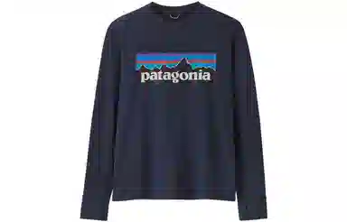 patagonia T