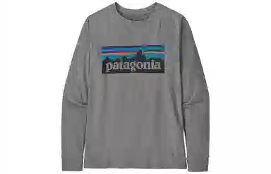 patagonia T