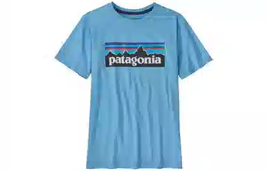 patagonia T