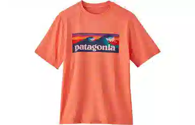 patagonia T