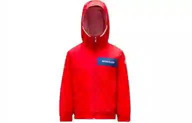 Moncler FW22 Logo Hoodie Jacket