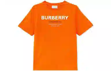 Burberry SS23 LogoT