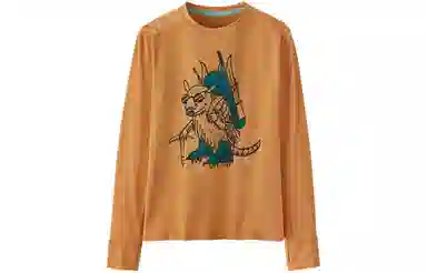 patagonia T