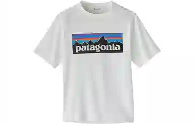 patagonia T
