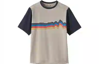 patagonia T