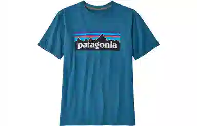 patagonia T