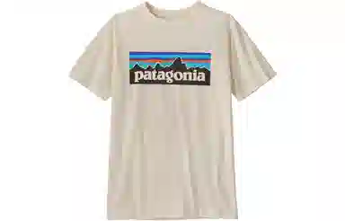 patagonia T