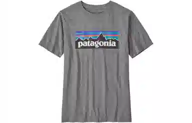 patagonia T