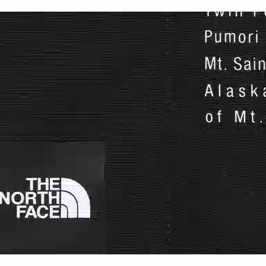 Supreme x The North Face Nylon Short