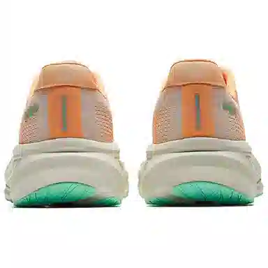 Anta 6