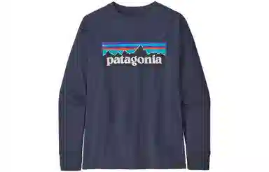 patagonia T