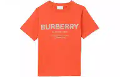 Burberry SS22 LogoT