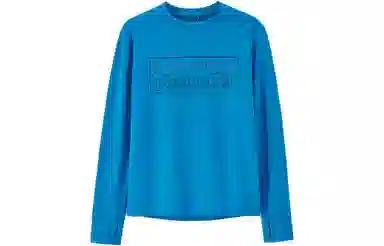 patagonia T