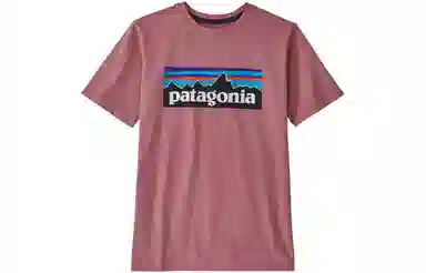 patagonia T